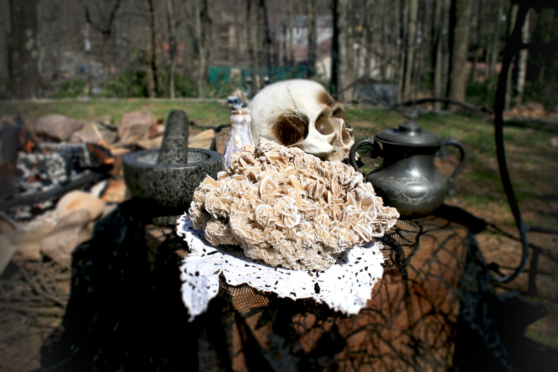 selenite gypsum, desert rose, sand rose, desert rose crystal, Arizona desert rose, sand gypsum, algerian desert rose