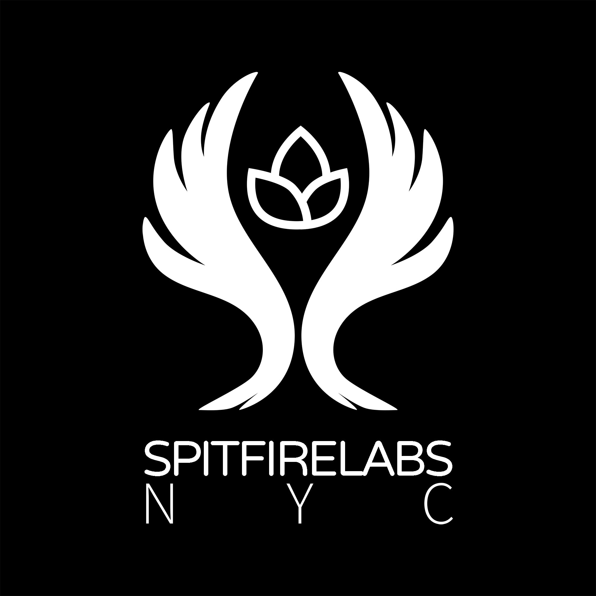 Spitfirelabs is a company that sells Laser wood engraved