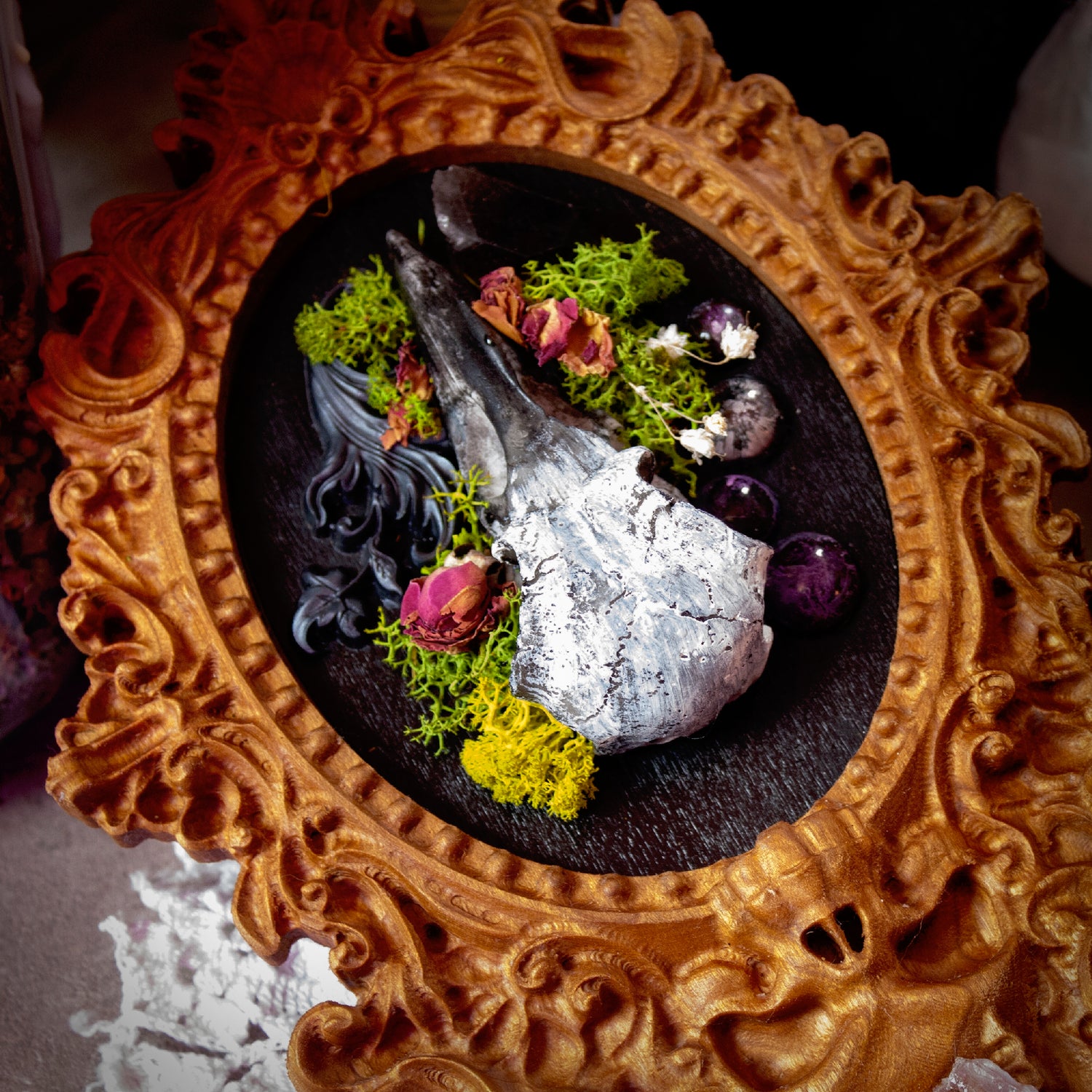 resin skull, resin skull art, skull and frame, oddities and curiosities, epoxy and wood