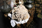  selenite gypsum, desert rose, sand rose, desert rose crystal, Arizona desert rose, sand gypsum, algerian desert rose