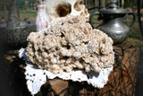  selenite gypsum, desert rose, sand rose, desert rose crystal, Arizona desert rose, sand gypsum, algerian desert rose