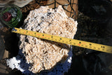  selenite gypsum, desert rose, sand rose, desert rose crystal, Arizona desert rose, sand gypsum, algerian desert rose