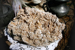  selenite gypsum, desert rose, sand rose, desert rose crystal, Arizona desert rose, sand gypsum, algerian desert rose