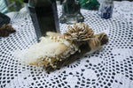 alter broom, white witch broom